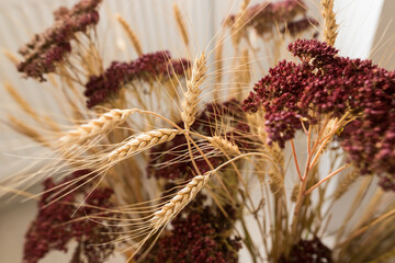 Close up of red flowers and brown spikelets in focus