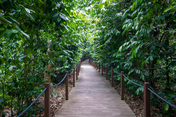 Obraz premium シンガポールの観光名所を旅行する風景 Scenes from a trip to Singapore's tourist attractions 