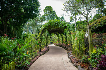 Naklejka premium シンガポールの観光名所を旅行する風景 Scenes from a trip to Singapore's tourist attractions 