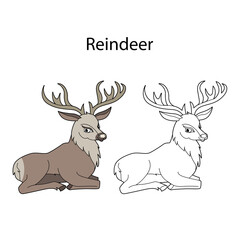 Funny cute animal reindeer isolated on white background. Linear, contour, black and white and colored version. Illustration can be used for coloring book and pictures for children