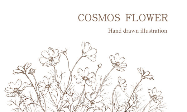 ペン画 の画像 303 912 件の Stock 写真 ベクターおよびビデオ Adobe Stock