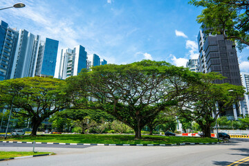Fototapeta na wymiar シンガポールの観光名所を旅行する風景 Scenes from a trip to Singapore's tourist attractions 