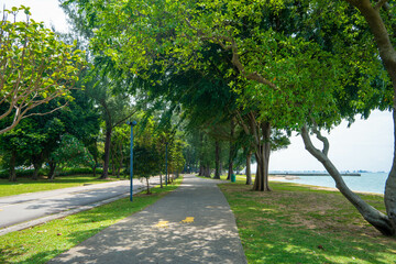 シンガポールの観光名所を旅行する風景 Scenes from a trip to Singapore's tourist attractions 