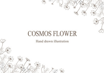 コスモスのペン画のフレーム　白背景 © miko