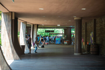 シンガポールの観光名所を旅行する風景 Scenes from a trip to Singapore's tourist attractions 