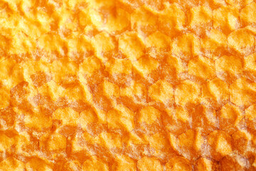 Texture of honey combs, closeup