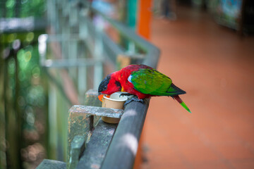 シンガポールの観光名所を旅行する風景 Scenes from a trip to Singapore's tourist...