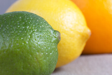 Different citruses fruits in a row  lemon, lime close-up
