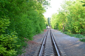 railway in the forest