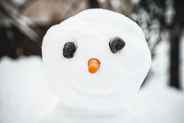 Head of a snowman figure with stony eyes and a carrot nose, snowy background