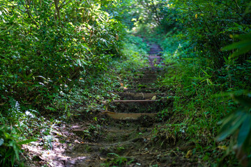 富山県富山市の猿倉山、御前山、小佐波御前山を登山する風景 Scenery of climbing Sarukura Mountain, Gozen Mountain, and Ozanami Gozen Mountain in Toyama City, Toyama Prefecture. 