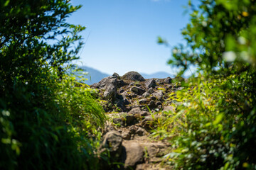 富山県富山市の猿倉山、御前山、小佐波御前山を登山する風景 Scenery of climbing Sarukura Mountain, Gozen Mountain, and Ozanami Gozen Mountain in Toyama City, Toyama Prefecture. 