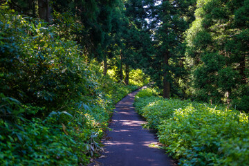 富山県富山市の猿倉山、御前山、小佐波御前山を登山する風景 Scenery of climbing Sarukura Mountain, Gozen Mountain, and Ozanami Gozen Mountain in Toyama City, Toyama Prefecture. 