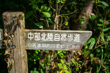 富山県富山市の猿倉山、御前山、小佐波御前山を登山する風景 Scenery of climbing Sarukura Mountain, Gozen Mountain, and Ozanami Gozen Mountain in Toyama City, Toyama Prefecture. 