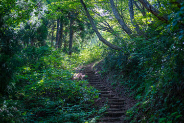 富山県富山市の猿倉山、御前山、小佐波御前山を登山する風景 Scenery of climbing Sarukura Mountain, Gozen Mountain, and Ozanami Gozen Mountain in Toyama City, Toyama Prefecture. 