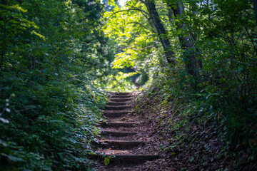 富山県富山市の猿倉山、御前山、小佐波御前山を登山する風景 Scenery of climbing Sarukura Mountain, Gozen Mountain, and Ozanami Gozen Mountain in Toyama City, Toyama Prefecture. 