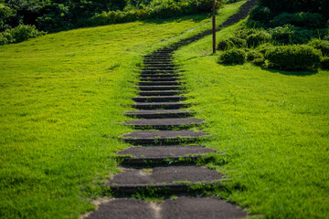 Obraz premium 富山県富山市の猿倉山、御前山、小佐波御前山を登山する風景 Scenery of climbing Sarukura Mountain, Gozen Mountain, and Ozanami Gozen Mountain in Toyama City, Toyama Prefecture. 
