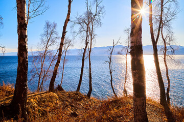 Beautiful natural view of the landscape with the shore with yellow grass and trees, lake, and blue sky with sun looking as star on a sunny autumn day