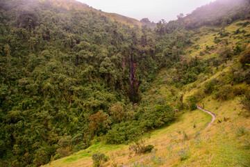 PAESAGGIO ANDINO