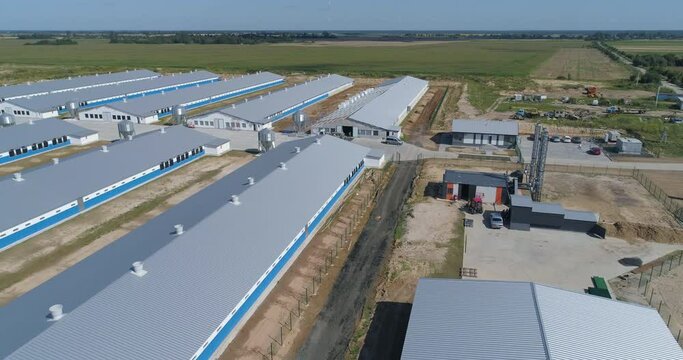 Aerial view of  farm among forest.  farm industrial
