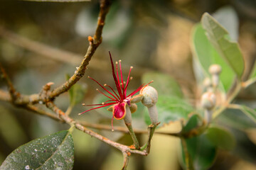 paesaggi ecuadoriani