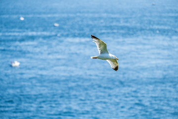 Bretagne