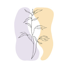 Vector illustration of a plant, line art style with abstract shapes for decoration, print