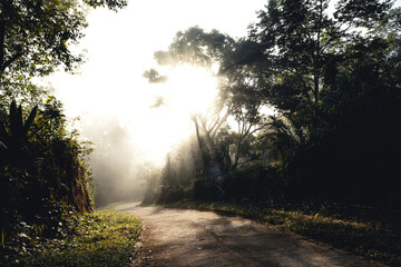 foggy road in rural village in the morning