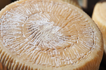 Cheese. Farm products, fresh mouth-watering cheese.