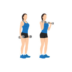 Woman doing dumbbell bicep hammer curls. Flat vector illustration isolated on different layer. Workout character - obrazy, fototapety, plakaty