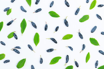 Background of honeysuckle berries and green leaves on a gray surface