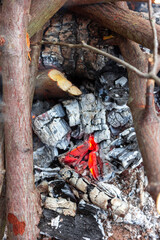 Coals in the fire. Consequences after the fire. Smoldering wood. Red corner. Vertical photo.
