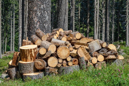 Symbolfoto Forstwirtschaft - gesägter Stapel Brennholz am Waldrand 