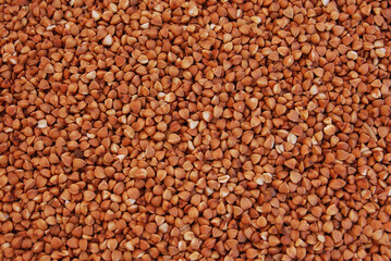 Buckwheat close up, healthy food ingredients