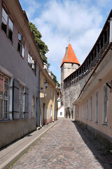 Fototapeta na wymiar Tallinn, Estonia, ancient architecture. Old traditional houses by town Wall with Tower. European medieval fortifications. Traditional Baltic architecture.Bright summer day, nobody around..
