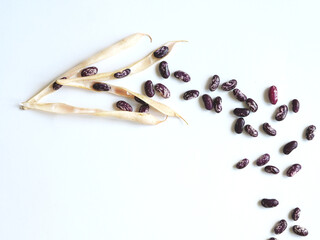 The stage of cleaning the beans from the pods. From pod to grains. Top view, Plass layout....
