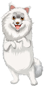 Pomeranian dog cartoon on white background
