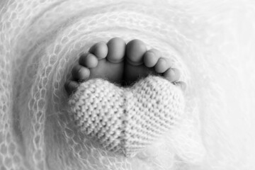 The feet of a newborn baby are wrapped in a knitted blanket. The fingers of a newborn baby are holding a white knitted heart. Black and white photo.