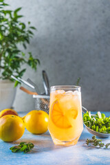 Fototapeta premium Grapefruit gin tonic cocktail, refreshing drink with ice. Cold summer citrus refreshing drink cocktail or beverage with ice, mint and thyme on blue table surface.