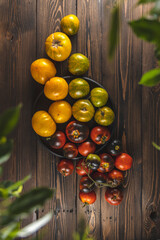 Raw fresh colorful tomatoes on dark wooden background. Concept of greenhouse lifestyle and products of subsistence farming, top view.