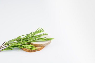 sprig of tarragon on a wooden substrate against a light background, copy space, selective focus