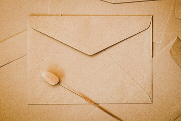 Brown paper envelope with Rabbit tail dry flower. Close-up of Craft envelope. Flat lay minimalism.
