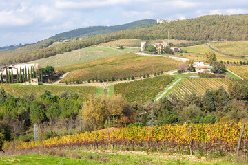 Fototapeta na wymiar Brolio, Arezzo. Paesaggio con vigneto e fattoria in autunno.
