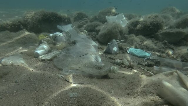 Dead Greater weever fish (Trachinus draco) hitting trapped in plastic bag lies inside plastic bag on the seabed among the medical face mask, plastic and other garbage. Plastic pollution of Ocean.  