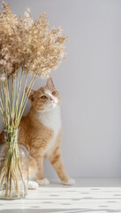 Autumn decor of the house is a glass vase with a bouquet of dried flowers ears on a white table in the rays and red cat.