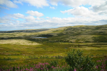 Karelia, landscape, sky, nature, mountain, grass, summer, hill, meadow, forest, clouds, countryside, mountains, cloud, rural, view, panorama, park, north summer, country, blue, travel, lake, blooming 