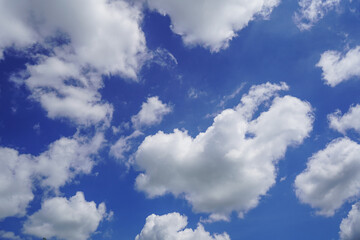 Naklejka na ściany i meble Sky background with the fluffy white clouds.
