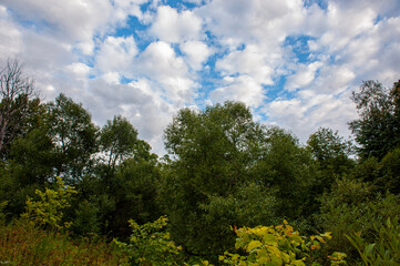 surroundings of the city of Yaropolets in the Moscow region