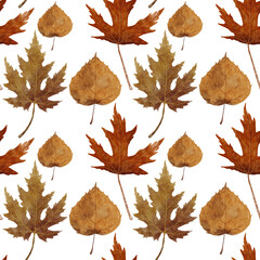 Seamless pattern with watercolor autumn leaves. Beautiful detailed fall maple and birch leaves in pastel colors isolated on white background