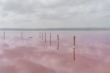 Torrevieja Pink Lake with wooden posts at Natural Park de Las Lagunas de La Mata e Torrevieja, Alicante Spain